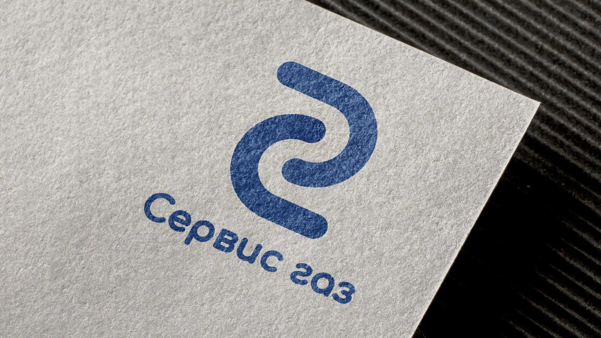 Разработка логотипа «Сервис газ» в Шенкурске